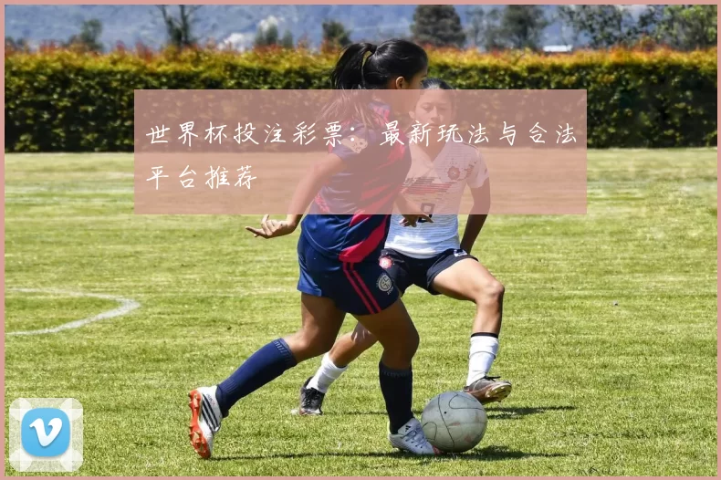 世界杯投注彩票:最新玩法与合法平台推荐