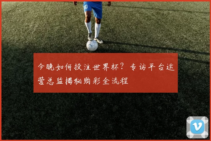 今晚如何投注世界杯?专访平台运营总监揭秘购彩全流程