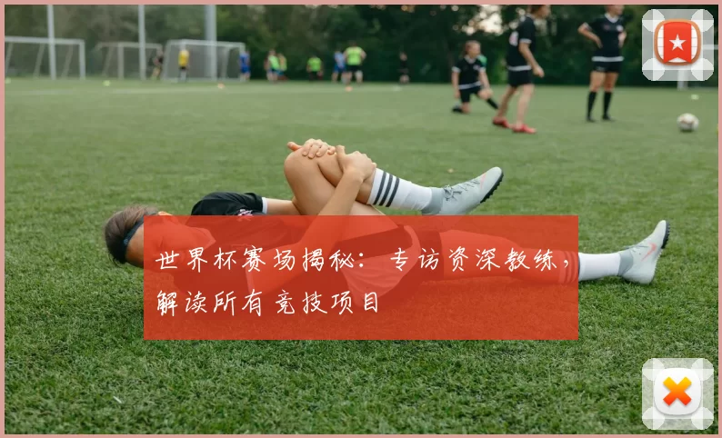 世界杯赛场揭秘:专访资深教练,解读所有竞技项目