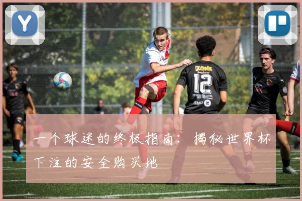 一个球迷的终极指南：揭秘世界杯下注的安全购买地