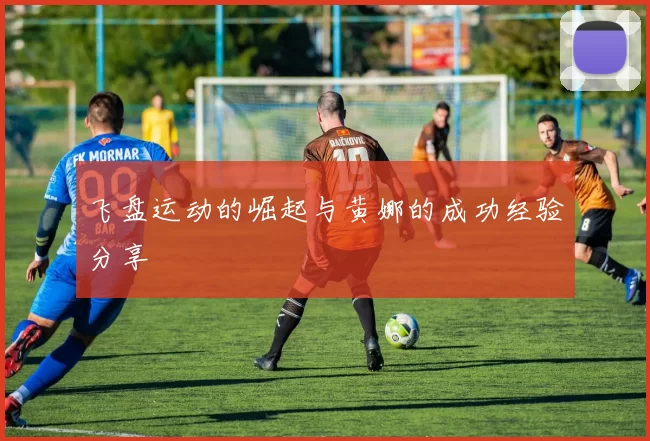 飞盘运动的崛起与黄娜的成功经验分享
