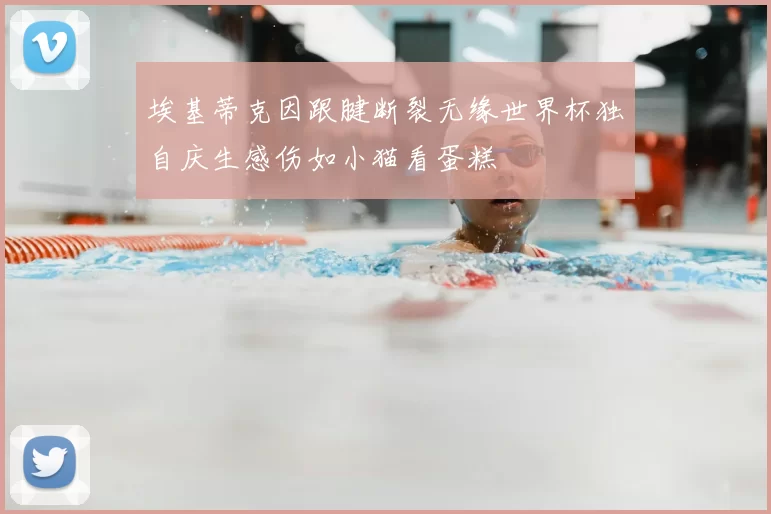 埃基蒂克因跟腱断裂无缘世界杯独自庆生感伤如小猫看蛋糕