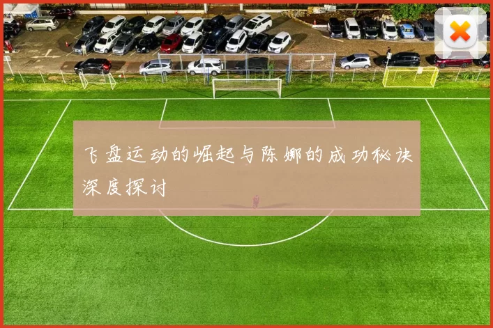 飞盘运动的崛起与陈娜的成功秘诀深度探讨