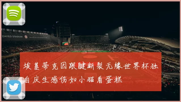 埃基蒂克因跟腱断裂无缘世界杯独自庆生感伤如小猫看蛋糕