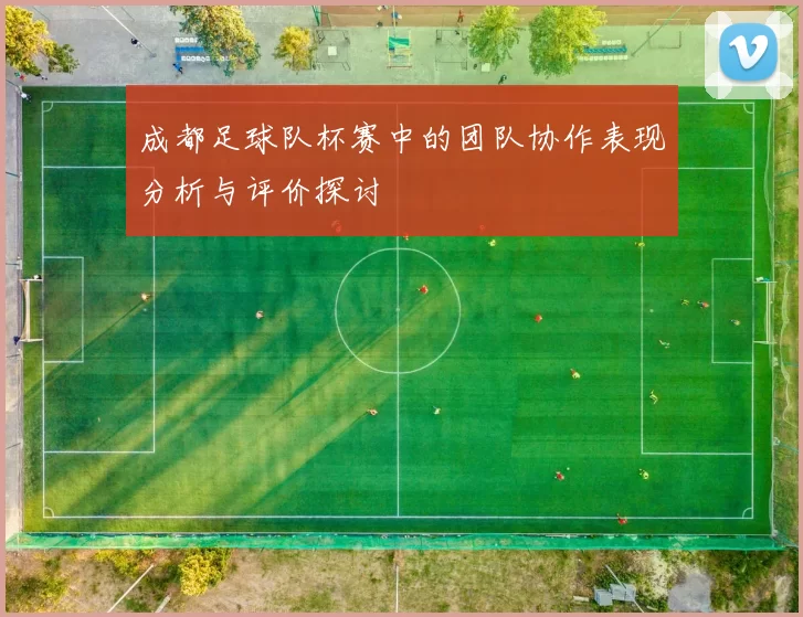 成都足球队杯赛中的团队协作表现分析与评价探讨