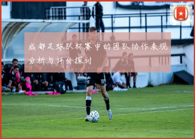 成都足球队杯赛中的团队协作表现分析与评价探讨