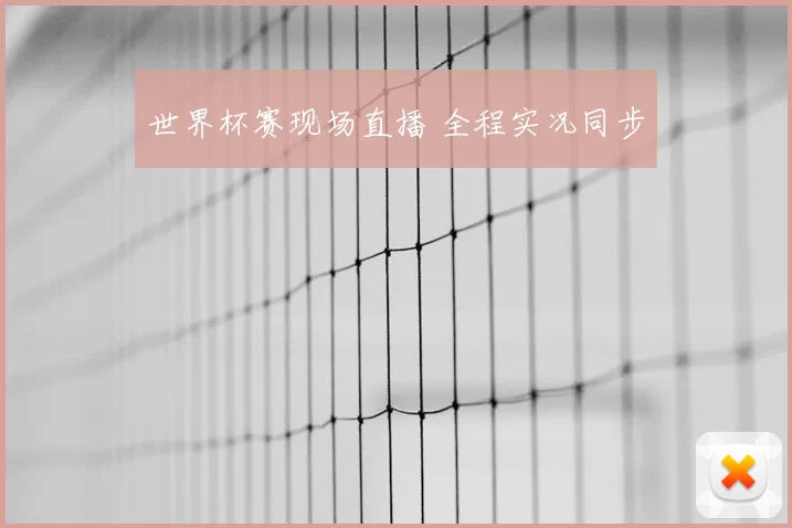 世界杯赛现场直播 全程实况同步