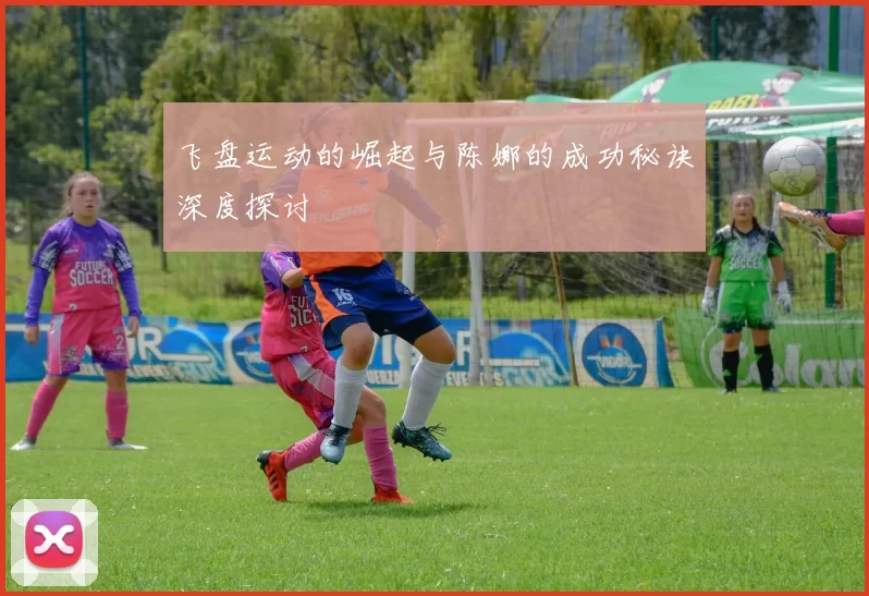 飞盘运动的崛起与陈娜的成功秘诀深度探讨